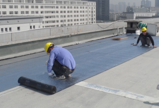 QQ截图20230203180320